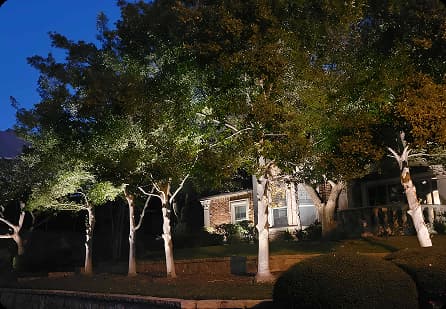 Landscape Lighting